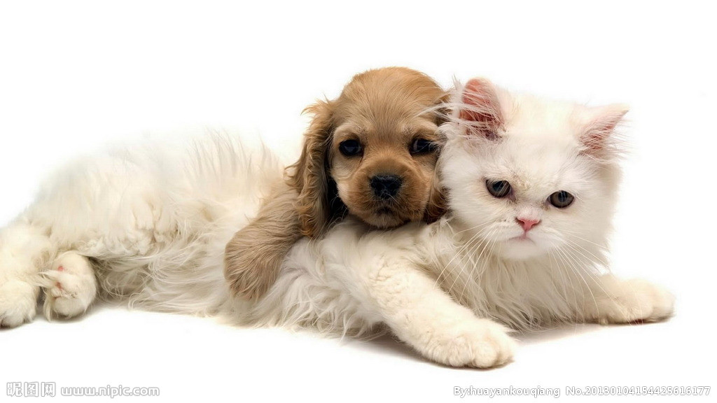 深圳小程序開發|深圳APP開發|微信小程序開發|小程序軟件開發|抖音小程序開發 深圳小程序開發|深圳APP開發|微信小程序開發|小程序軟件開發|抖音小程序開發