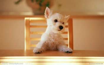 深圳小程序開(kāi)發(fā)|深圳APP開(kāi)發(fā)|微信小程序開(kāi)發(fā)|小程序軟件開(kāi)發(fā)|抖音小程序開(kāi)發(fā) 深圳小程序開(kāi)發(fā)|深圳APP開(kāi)發(fā)|微信小程序開(kāi)發(fā)|小程序軟件開(kāi)發(fā)|抖音小程序開(kāi)發(fā)